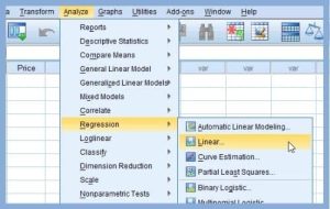 Read more about the article SPSS ile Regresyon Analizi Adımları