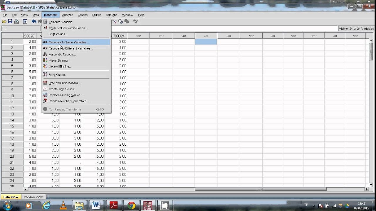 Read more about the article SPSS’te Veri Düzenleme ve Dönüştürme İpuçları