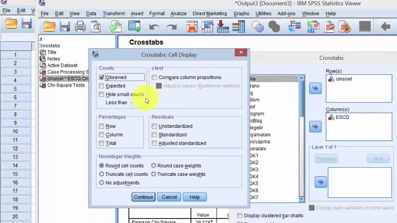 Read more about the article SPSS İle Çapraz Tablolar ve Ki-Kare Testi