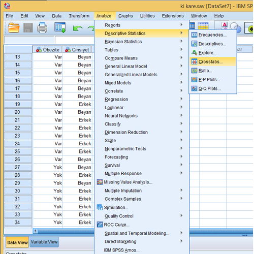 Read more about the article SPSS İle İş Zekası ve Veri Görselleştirme