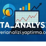Akademik Çalışmalarda Veri Temizleme ve Ön İşleme: SPSS ve Python Yaklaşımları