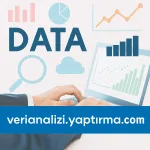 Arena ile Simülasyon Tabanlı Veri Analizi: Kurumsal Karar Destek Süreçlerinde Uygulamalar