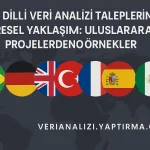 Çok Dilli Veri Analizi Taleplerinde Küresel Yaklaşım: Uluslararası Projelerden Örnekler