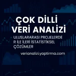 Çok Dilli Veri Analizi: Uluslararası Projelerde R ile İleri İstatistiksel Çözümler