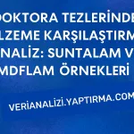 Doktora Tezlerinde Malzeme Karşılaştırmalı Analiz: Suntalam ve MDFLAM Örnekleri