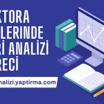 Doktora Tezlerinde Veri Analizi Süreci: Program Seçiminden Sonuç Raporlamasına Kadar Adım Adım Yol Haritası