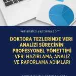 Doktora Tezlerinde Veri Analizi Sürecinin Profesyonel Yönetimi: Veri Hazırlama, Analiz ve Raporlama Adımları