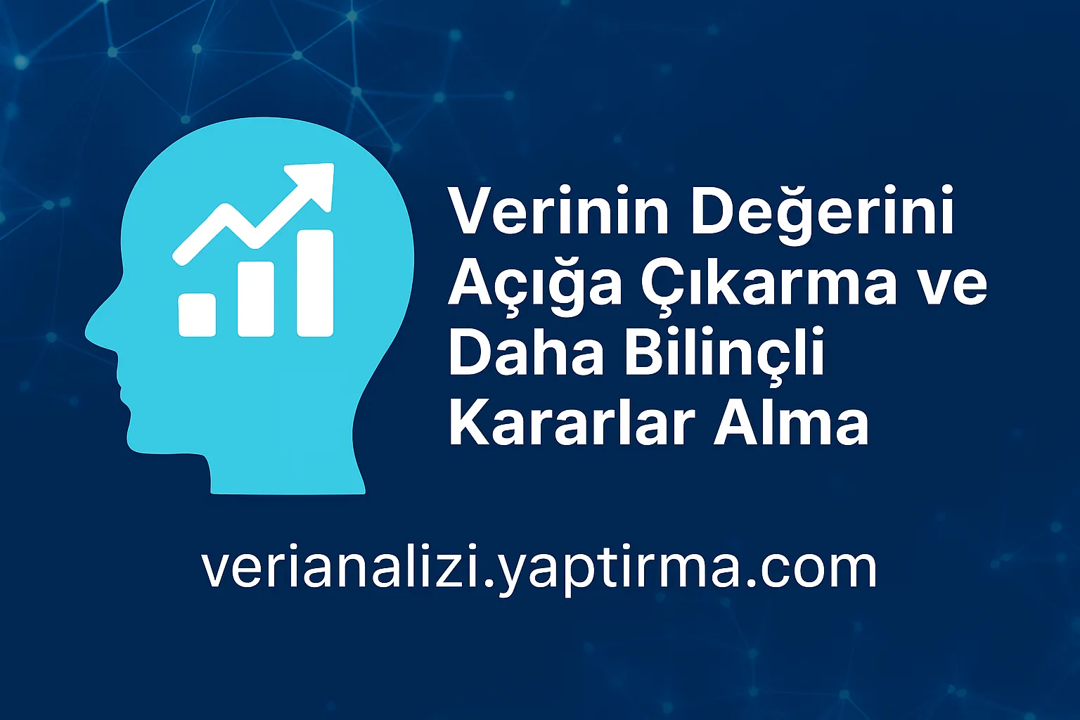 Read more about the article Kurumsal Karar Destek Sistemlerinde GAMS ile Optimizasyon Çözümleri