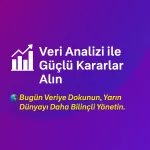 Uluslararası Çalışmalarda Veri Analizi Standartları: Çok Dilli ve Çok Programlı Yaklaşımlar