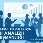 Kurumsal Firmalar İçin Veri Analizi Danışmanlığı: 20.214 Ulusal ve Uluslararası Çalışmadan Çıkan Deneyimler