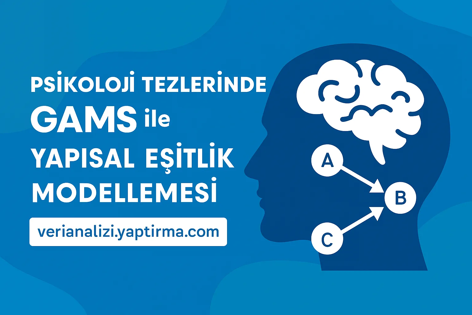 Read more about the article Psikoloji Tezlerinde GAMS ile Yapısal Eşitlik Modellemesi