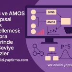 SPSS ve AMOS ile Yapısal Eşitlik Modellemesi: Doktora Tezlerinde İleri Seviye Analizler