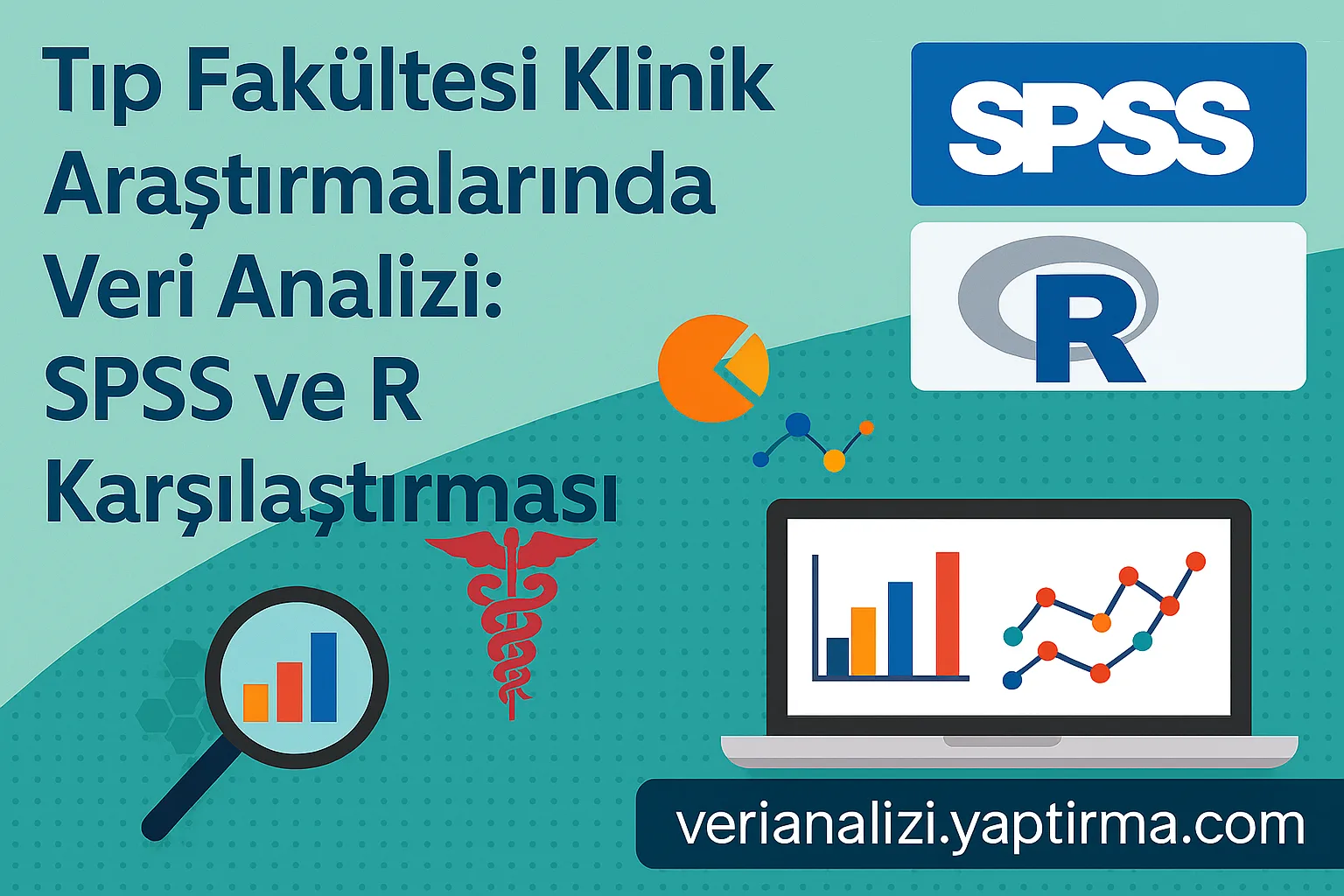 Tıp Fakültesi Klinik Araştırmalarında Veri Analizi SPSS ve R Karşılaştırması - Veri Analizi Yaptırma Merkezi & Danışmanlık