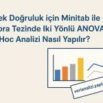 Yüksek Doğruluk için Minitab ile Doktora Tezinde İki Yönlü ANOVA ve Post-Hoc Analizi Nasıl Yapılır?