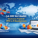 Çok Dilli Veri Analizi: Uluslararası Projelerde SPSS ve R Karşılaştırması