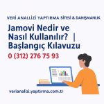 Jamovi Nedir ve Nasıl Kullanılır? Başlangıç Kılavuzu