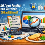 İstatistik Veri Analizi Yaptırma Sürecinde Nelere Dikkat Edilmeli